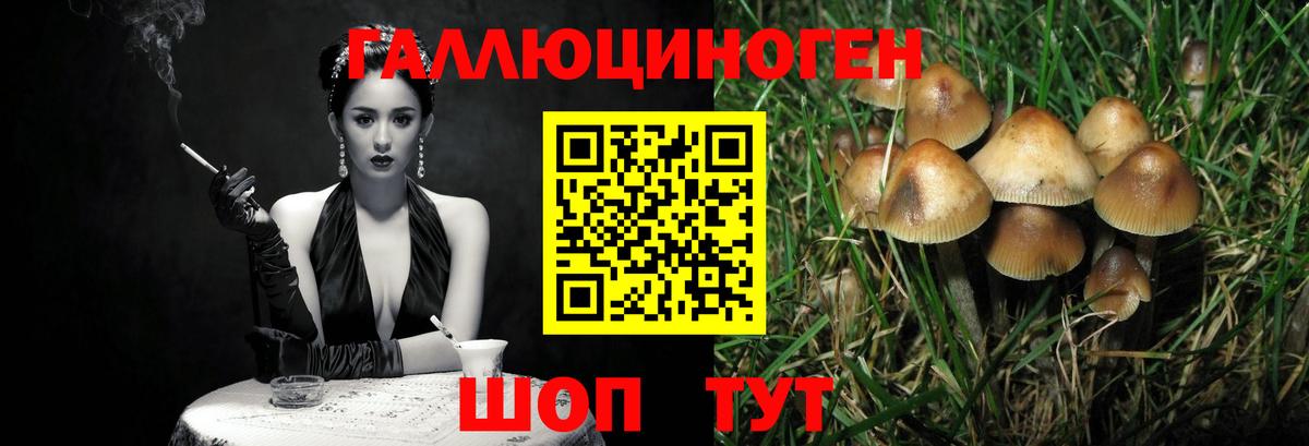 Казань  Галлюциногенные грибы ЛСД  Вход с VPN 